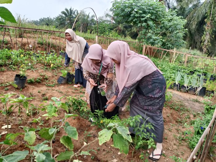 Hasil Panen Akan Menjadi Menu Special Hidangan Peringatan Isra Miraj