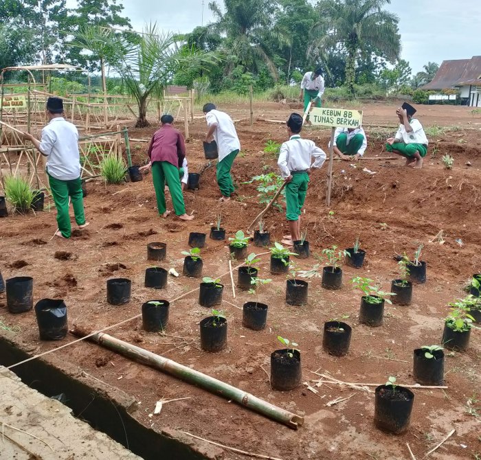 Siswa MTsN 4 Tebo Kembangkan Kebun Belakang Kelas